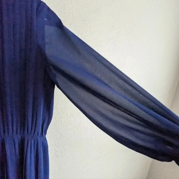 Vintage Pleated Chiffon Dress- Japanese- Robe de Command- Floor length Georgette - Picture 13 of 16